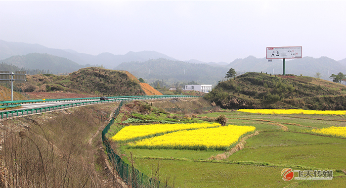 黃祁景高速黟縣漁亭下口收費(fèi)站處